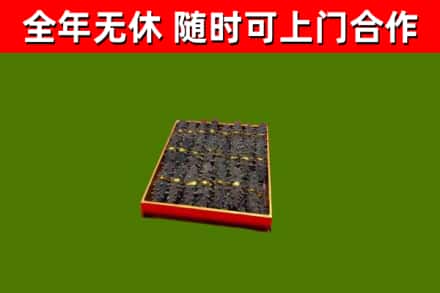 漯河烟酒回收海参.jpg
